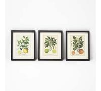 HOMESCAPES Botanical Framed Wall Prints, Set of 3, Citrus Theme - Lime, Lemon and Orange, 20 x 25 cm, Multicoloured, Poster for Living Room Bedroom Kitchen Walls