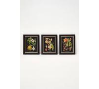 Botanical Fruit Wall Art, 20 x 25cm, Set of 3
