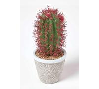 Homescapes Denmoza Artificial Cactus with Flowers in Patterned Pot, 25 cm Tall in Green Homescapes Green