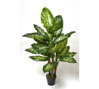 Homescapes Dieffenbachia Dumb Cane Plant In Pot, 150 Cm Tall In Green Green One Size