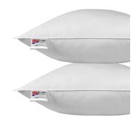 Homescapes Duck Feather and Down Euro Pillow Pair - White