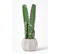 Homescapes Echinopsis Peruviana Artificial Cactus In Decorative Textured Stone Pot, 50 cm Tall