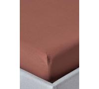 Egyptian Cotton Fitted Sheet 12 inch 200 Thread Count Homescapes Chocolate Small Double Fitted