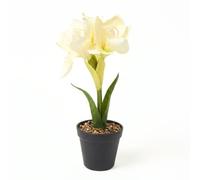 Homescapes Faux Cream Amaryllis In Pot, 36Cm