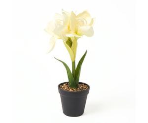 Homescapes Faux Cream Amaryllis In Pot, 36Cm