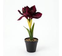 Faux Red Amaryllis in Pot, 36 cm