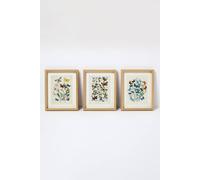 Homescapes Framed Butterflies Wall Art, 20 X 25Cm, Set Of 3 In Natural Natural