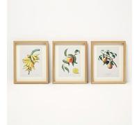 HOMESCAPES Framed Wall Art Vintage Fruit Wall Art Prints Set of 3, Botanical Kitchen Wall Decor, 20 x 25cm