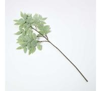 HOMESCAPES Frosted Sage Leaf Christmas Spray