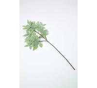 Homescapes Frosted Sage Leaf Christmas Spray In Green Green