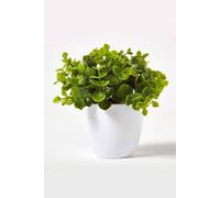 Homescapes Green Artificial Eucalyptus Plant In Pot Green One Size