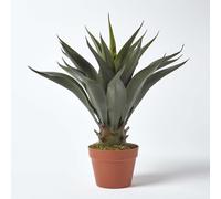 Homescapes Green 'Century Plant' Artificial Agave Americana with Pot, 60 cm