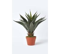 Homescapes Green 'Century Plant' Artificial Agave Americana with Pot, 60 cm - Green
