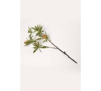 Homescapes Green Elaeocarpus Leaf Single Stem Spray 92 Cm Green