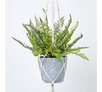 HOMESCAPES Green Fern Artificial Hanging Basket 95cm Long Large Hanging Planter For Indoor and Outdoor Decoration Lifelike Modern Davallia Bullata Plant in Grey Melamine Pot with Rope and Metal Hook
