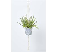 Homescapes Green Fern Hanging Plant, 95 Cm Green