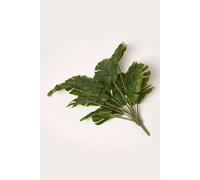 Homescapes Green Monstera Leaf Single Stem 68cm Homescapes Green