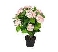 HOMESCAPES Pink Purple Hydrangea Bush Artificial Plant in Black Pot 70 cm (2.3 ft) for Home Office Indoor Decoration