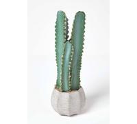 Homescapes Hylcocereus Artificial Cactus In Decorative Textured Stone Pot In Green Green