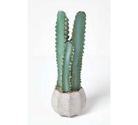 Hylcocereus Artificial Cactus In Decorative Textured Stone Pot Homescapes Green One Size
