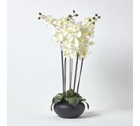Homescapes Large Oriental Style Cream Orchids in Black Bowl