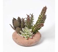 HOMESCAPES Lifelike Artificial Succulent Arrangement Decorative Faux Cactus Plants In Terracotta Pot, 15cm Wide For Indoor Use