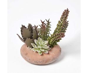 HOMESCAPES Lifelike Artificial Succulent Arrangement Decorative Faux Cactus Plants In Terracotta Pot, 15cm Wide For Indoor Use