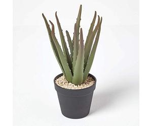 HOMESCAPES Lifelike Small Artificial Succulent Potted Aloe Vera Plant In Round Black Plastic Pot, 30cm Tall Lifelike Faux Cactus For Indoor Decoration