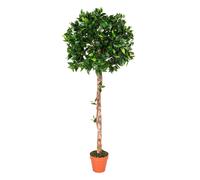 Homescapes Luxury 4Ft Ficus Topiary Artificial Plant, Real Stem, Brown Pot, 125Cm In Green Green