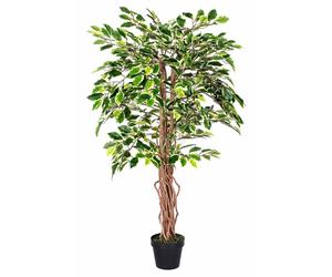 Homescapes Luxury 4Ft Ficus Tree Variegated Artificial Plant, Real Stem, 120Cm In Green Green