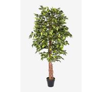Homescapes Luxury 6Ft Ficus Tree Artificial Plant, Real Stem, Black Pot, 180Cm In Green Green One Size