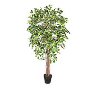 (6 Ft (180 cm), Variegated) Artificial Ficus Tree with Twisted Real Wood Trunk