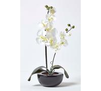 Homescapes Oriental Cream Orchid in Black Ceramic Bowl - 54cm Tall Silk Flower Arrangement (AP1259)