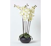 Large Style Cream Orchids in Black Bowl Homescapes Cream One Size