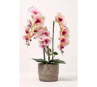 HOMESCAPES Artificial Pink and White Orchid in Pot 64 cm Tall Lifelike Faux Orchid Plant In Grey Cement Pot Real Touch Silk Flowers and Green Leaves Phalaenopsis Orchid Flower for Indoor Decoration