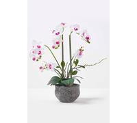 HOMESCAPES Artificial White Orchid in Pot 52 cm Tall Lifelike Faux Orchid Plant In Grey Cement Pot with Real Touch Silk Flowers and Green Leaves Phalaenopsis Orchid Flower for Indoor Decoration