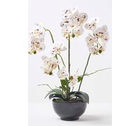 HOMESCAPES Artificial White Orchid in Pot 62 cm Tall Lifelike Faux Orchid Plant In Black Ceramic Bowl with Real Touch Silk Flowers and Green Leaves Phalaenopsis Orchid Flower for Indoor Decoration