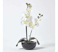 Homescapes Oriental Cream Orchid in Black Ceramic Bowl - 54cm Tall Silk Flower Arrangement (AP1259)