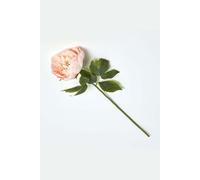 HOMESCAPES Artificial Single Stem Pink Peony 56 cm Faux Silk Peony Flower for Bouquet or Floral Arrangement