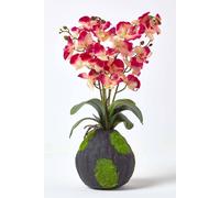 Homescapes Phalaenopsis Artificial Orchid With Natural Base, 60 Cm Tall In Pink Pink
