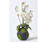 Homescapes White Phalaenopsis Artificial Orchid with Natural Base, 60 cm Tall