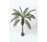 HOMESCAPES Artificial Phoenix Palm Tree 160 cm Tall Fake Green Palm Plant with Wood Effect Raffia Textured Tunk Potted in Black Pot
