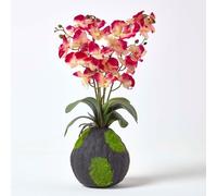 HOMESCAPES Pink & Cream Artificial Orchid with Lifelike Silk Flowers and Realistic Green Leaves Two Tone Oriental Phalaenopsis Orchid Flower with Faux Moss Base 60cm tall for Indoor Decoration
