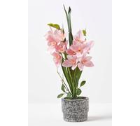 HOMESCAPES Artificial Pink Orchid in Pot 58 cm Tall Lifelike Faux Orchid Plant In Grey Cement Pot with Real Touch Silk Flowers and Green Leaves Cymbidium Orchid Flower for Indoor Decoration