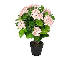 HOMESCAPES Pink Purple Hydrangea Bush Artificial Plant in Black Pot 70 cm (2.3 ft) for Home Office Indoor Decoration