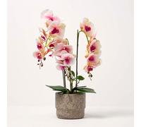 Homescapes Realistic Artificial Pink Phalaenopsis Orchid Plant In Cement Pot, 3 Stems, 64 Cm Indoor Artificial Flower
