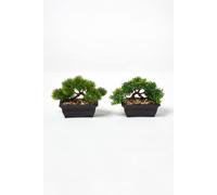 Set of 2 Artificial Bonsai Trees in Decorative Pots, 15 cm Tall