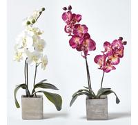 Homescapes Set Of 2 Artificial Burgundy & Cream Handcrafted Orchids In Stone Pots, 57 Cm