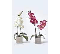 HOMESCAPES Set of 2 Burgundy & Cream Artificial Orchids in Grey Stone Pot 57 cm Tall Faux Plants with Lifelike Leaves & Petals