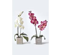 Homescapes Set Of 2 Artificial Burgundy & Cream Orchids In Stone Pots, 57 Cm Multi